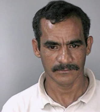 Borjasturcios Ricardo - Hillsborough County, FL 