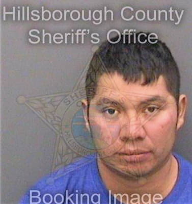 Santizgomez Moises - Hillsborough County, FL 