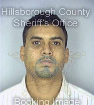 Medina Peter - Hillsborough County, FL 