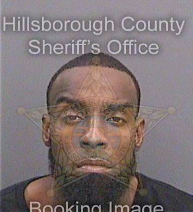 Mcfarland Anthony - Hillsborough County, FL 