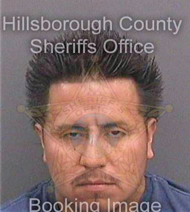 Caxgarcia Carlos - Hillsborough County, FL 