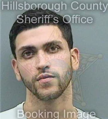 Santiago Alexander - Hillsborough County, FL 