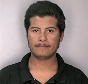 Bautistahernandez Andres - Hillsborough County, FL 