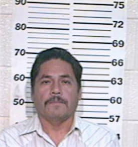 Martinez Jesus - Hidalgo County, TX 