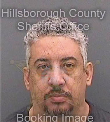 Garcia Esteban - Hillsborough County, FL 