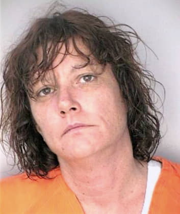 Merrick Sandra - Hillsborough County, FL 