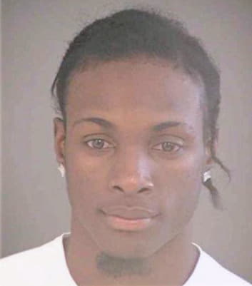 Mchayle Lorin - Hillsborough County, FL 