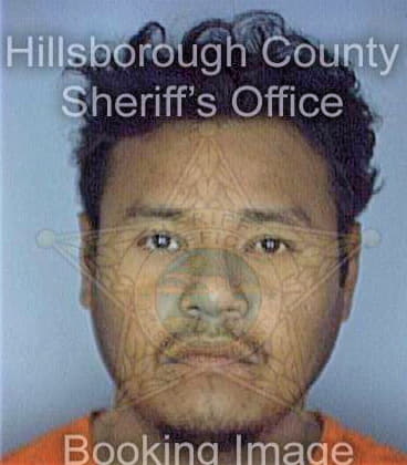 Gonzalez Luis - Hillsborough County, FL 