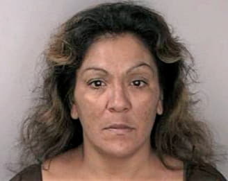 Sanchez Maribel - Hillsborough County, FL 