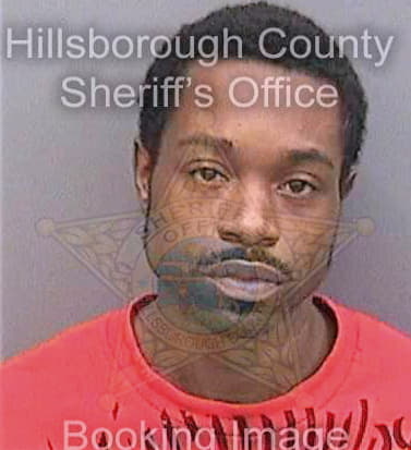 Davy Marvin - Hillsborough County, FL 