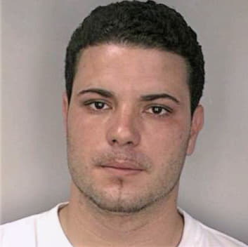 Fernandez Yanquier - Hillsborough County, FL 