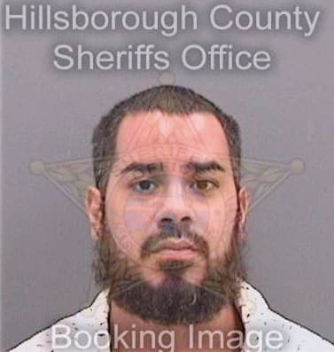 Bernal David - Hillsborough County, FL 