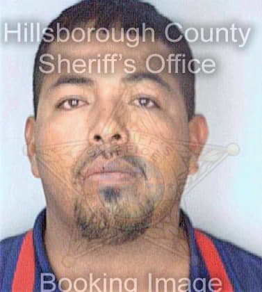 Davalos Jose - Hillsborough County, FL 