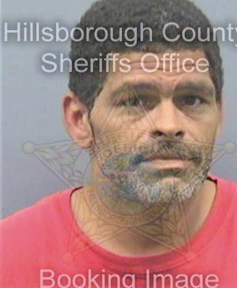 Casillo John - Hillsborough County, FL 