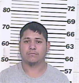 Martinez Efrain - Hidalgo County, TX 