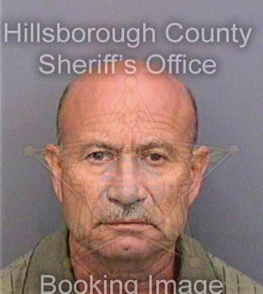 Ramirezgonzalez Arnoldo - Hillsborough County, FL 