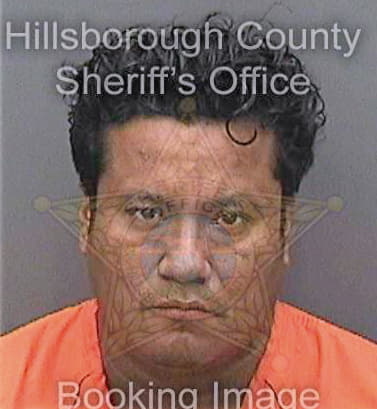 Mejiasanchez Rogelio - Hillsborough County, FL 