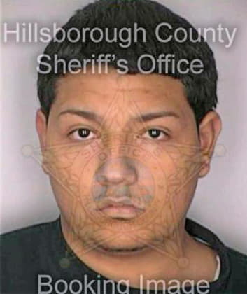 Martinez Gabriel - Hillsborough County, FL 