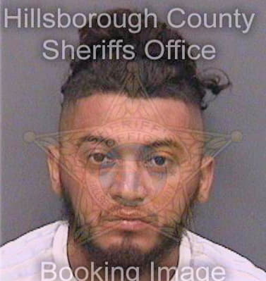 Bonillaizaguirre Milton - Hillsborough County, FL 