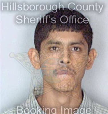 Hernandez Samuel - Hillsborough County, FL 