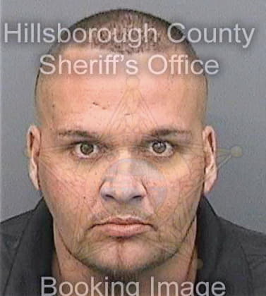 Cohen Michael - Hillsborough County, FL 