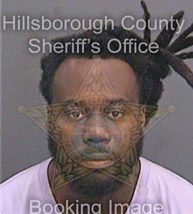 Simpson Leroy - Hillsborough County, FL 