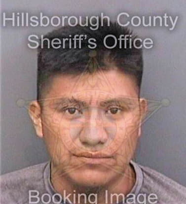 Delacruzhernandez Miguel - Hillsborough County, FL 