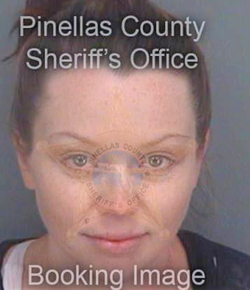 Mccarthy Shannon - Pinellas County, FL 