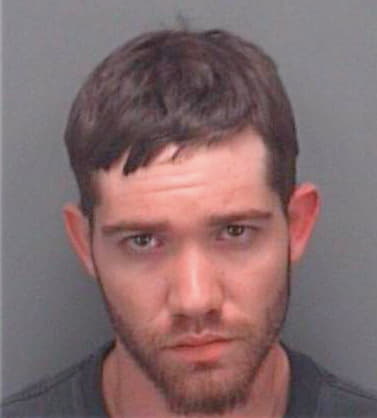 Lewison James - Pinellas County, FL 