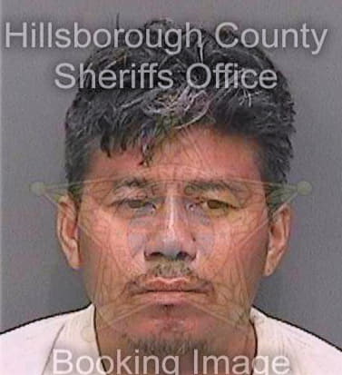 Hernandezdiaz Jose - Hillsborough County, FL 