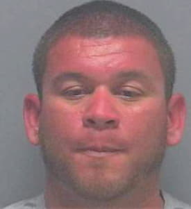 Benavides Miguel - Lee County, FL 