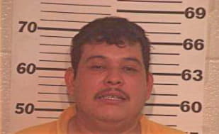 Ramirez Jose - Hidalgo County, TX 