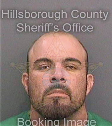 Nelson Andrew - Hillsborough County, FL 