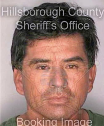 Estradahernandez Antonio - Hillsborough County, FL 