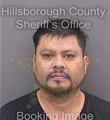 Salgadocarbajal Daniel - Hillsborough County, FL 