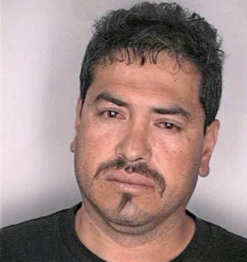 Melgozamontejano Arturo - Hillsborough County, FL 