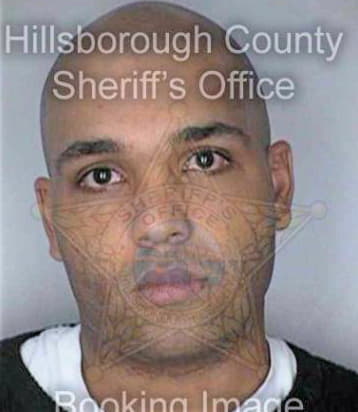 Mcginnis Marvin - Hillsborough County, FL 