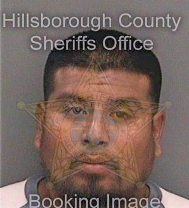 Lopezsanchez Ernesto - Hillsborough County, FL 