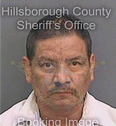 Lopezsarabia Eusebio - Hillsborough County, FL 