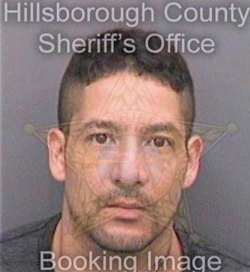 Gonzales Jose - Hillsborough County, FL 