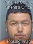 Lopez Daniel - Pinellas County, FL 