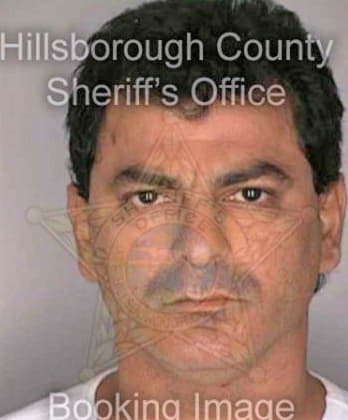 Shahnazari Edik - Hillsborough County, FL 