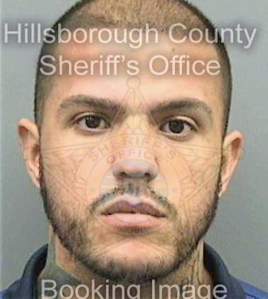 Gonzalez Emilio - Hillsborough County, FL 