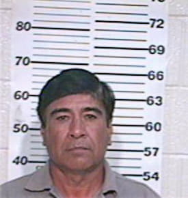 Guzman Jose - Hidalgo County, TX 