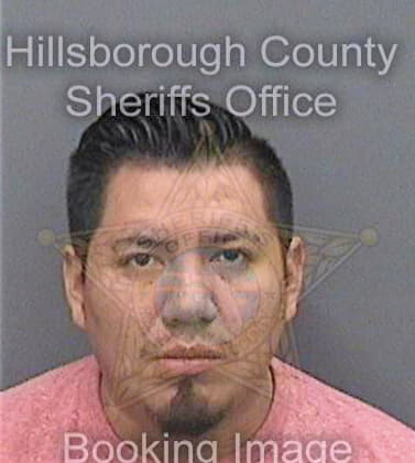 Hernandezmartinez Lucio - Hillsborough County, FL 