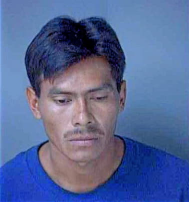 Velasquez Oliver - Lee County, FL 