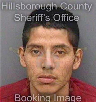 Garcia Ricardo - Hillsborough County, FL 