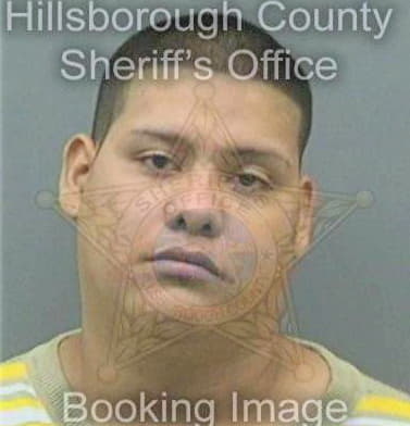 Rios Leonel - Hillsborough County, FL 