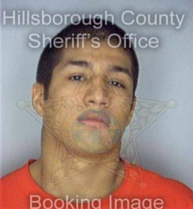 Silva Nicholas - Hillsborough County, FL 