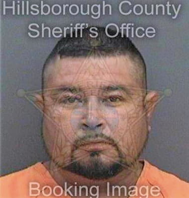 Rangelrojas Daniel - Hillsborough County, FL 